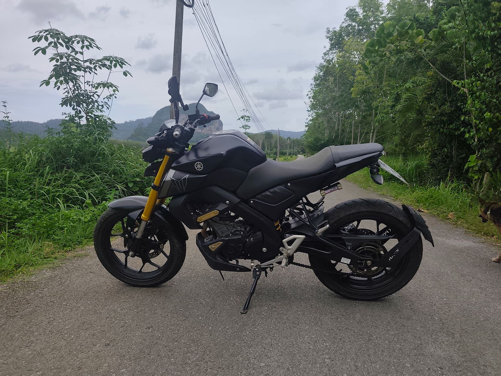 Yamaha MT-15 — motorcycle rental in Krabi
