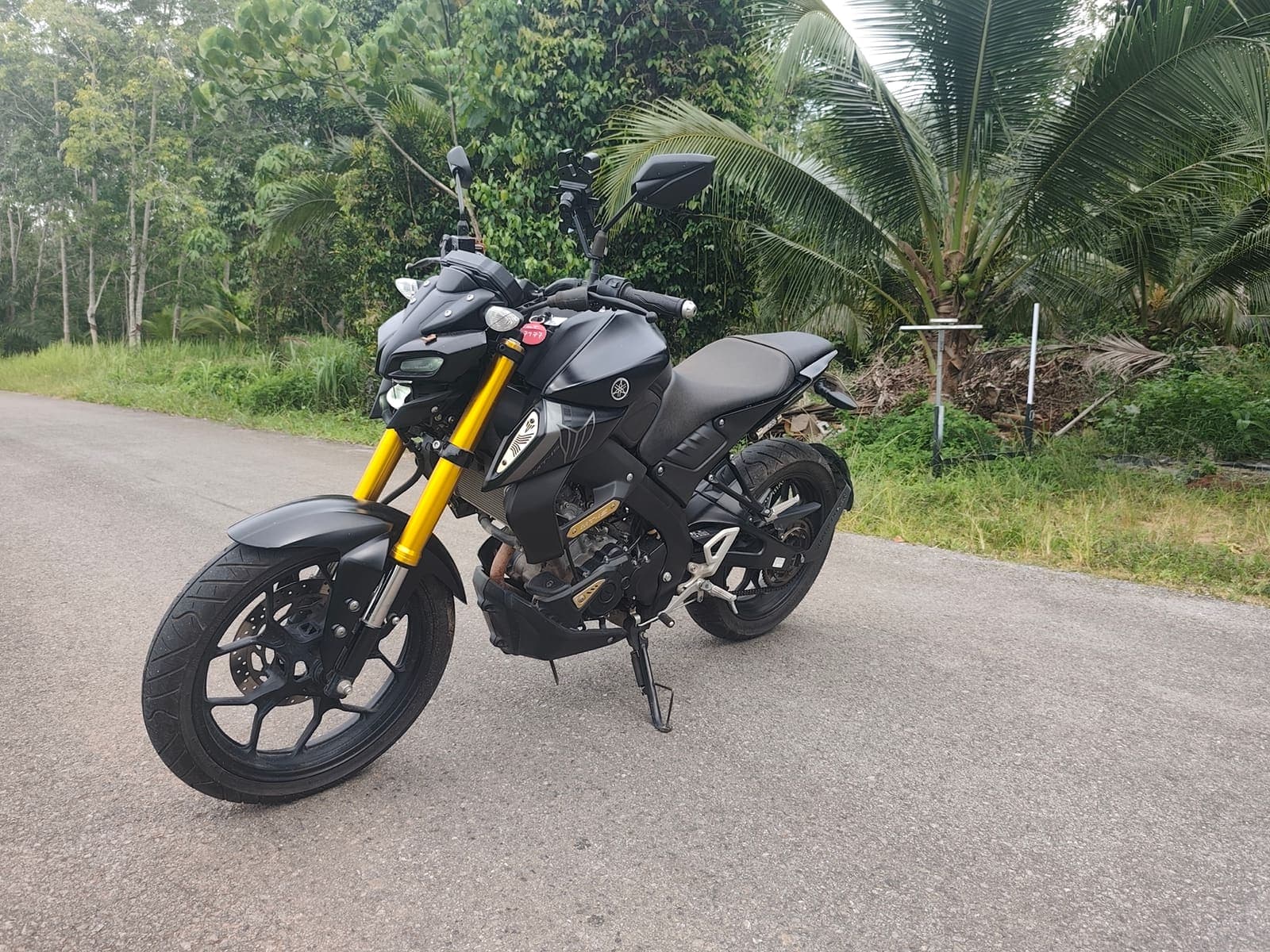 Yamaha MT-15 rear view — motorcycle for hire in Krabi