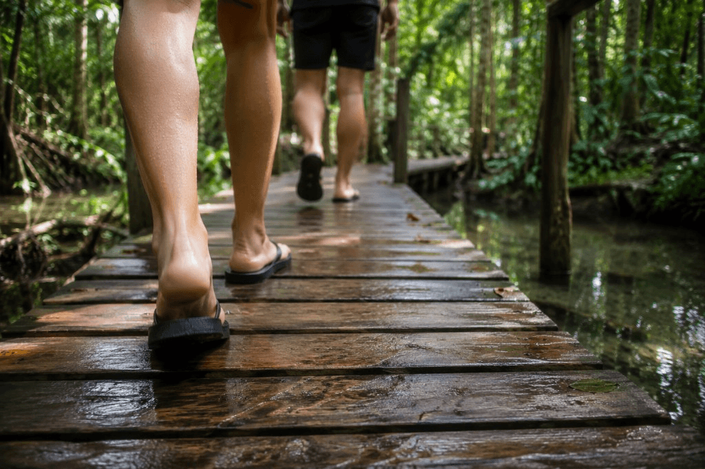 Wet forest boardwalk leading toward the Krabi Hot Springs waterfall area