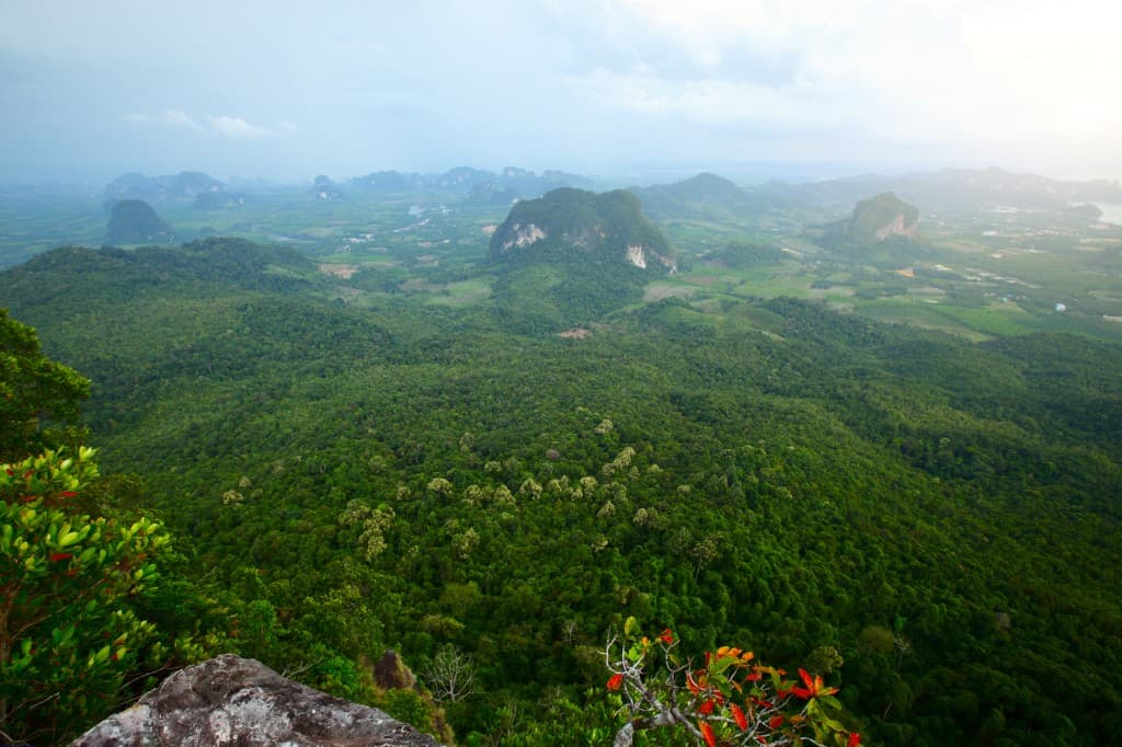 Panoramic forest and karst view from the Dragon Crest nature trail area near Tubkaek, Krabi