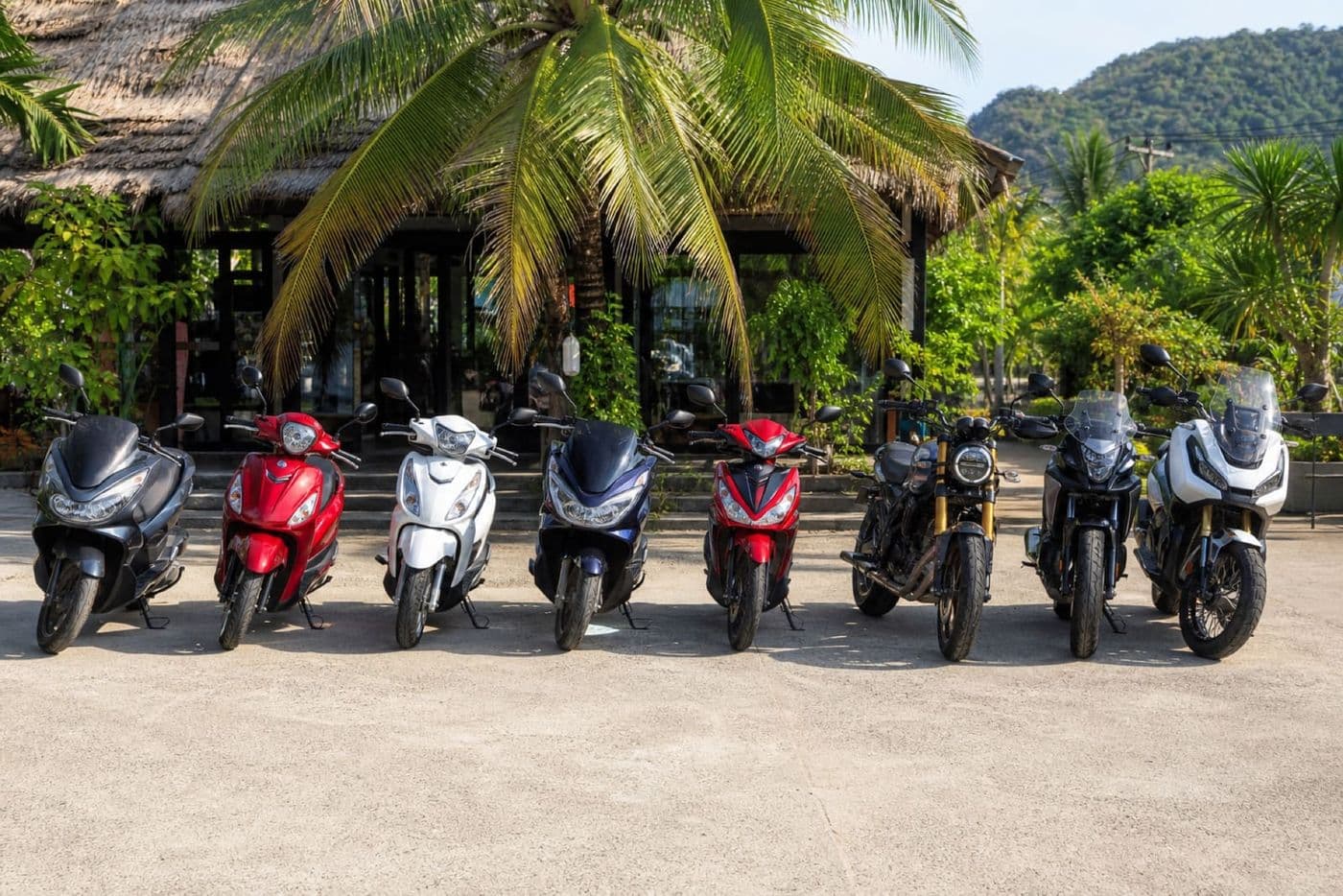 Multiple rental scooters and motorbikes lined up side by side at Krabi Moto Rentals