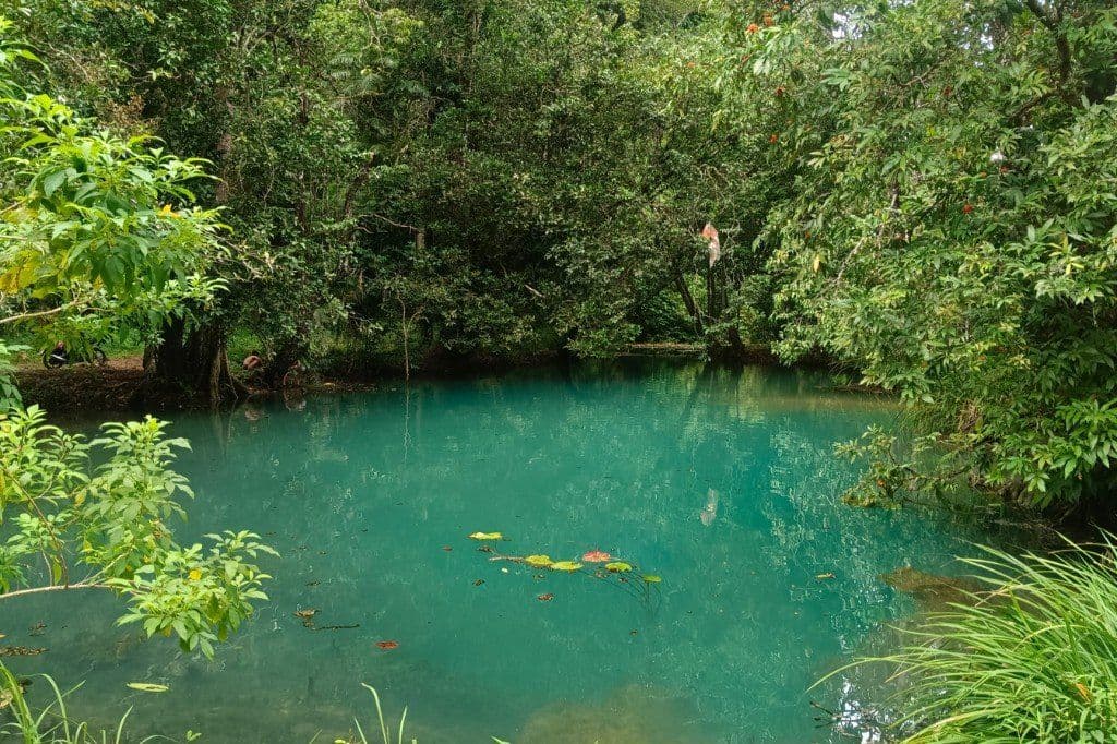 Turquoise spring-fed pool surrounded by jungle at Sa Keao, Krabi countryside