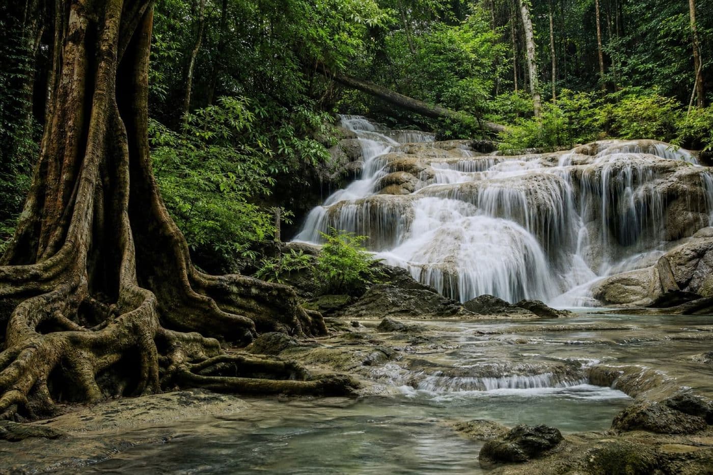 Huay Thoi Waterfall in Khao Phanom Bencha National Park, jungle and banyan trees