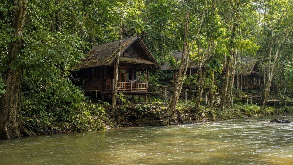 Wooden stilted jungle cabins on the river at Khao Sok Riverside Cottages