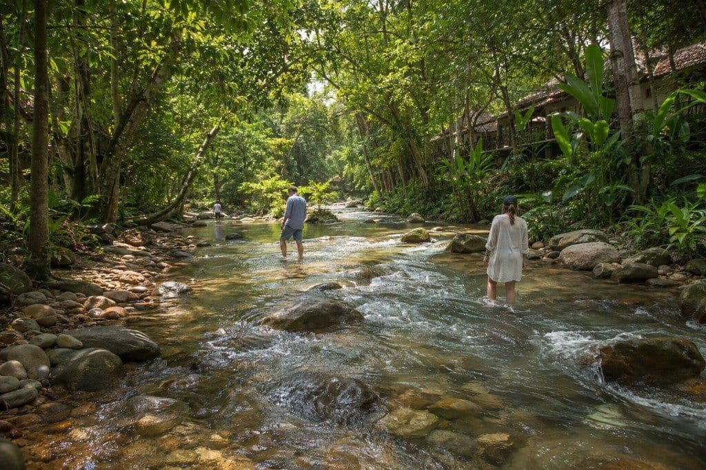 Guests wading in the shallow river at Be Bas Camp near Khao Sok