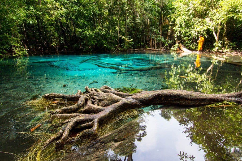 Visitors swimming in the clear emerald-green water of Sa Morakot framed by jungle trees