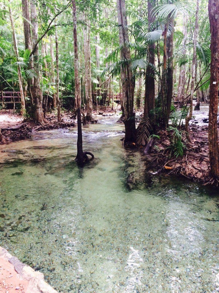 Jungle nature trail with wooden walkway beside a clear stream leading toward Emerald Pool