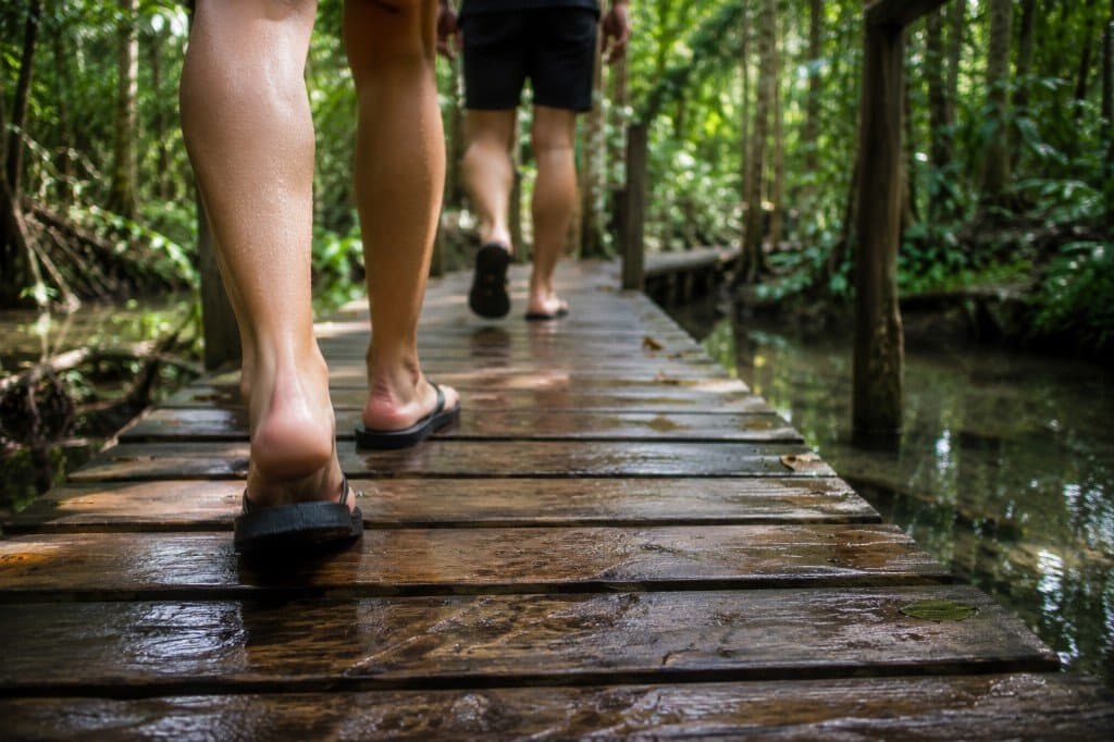 Wet forest boardwalk leading toward the Krabi Hot Springs waterfall area