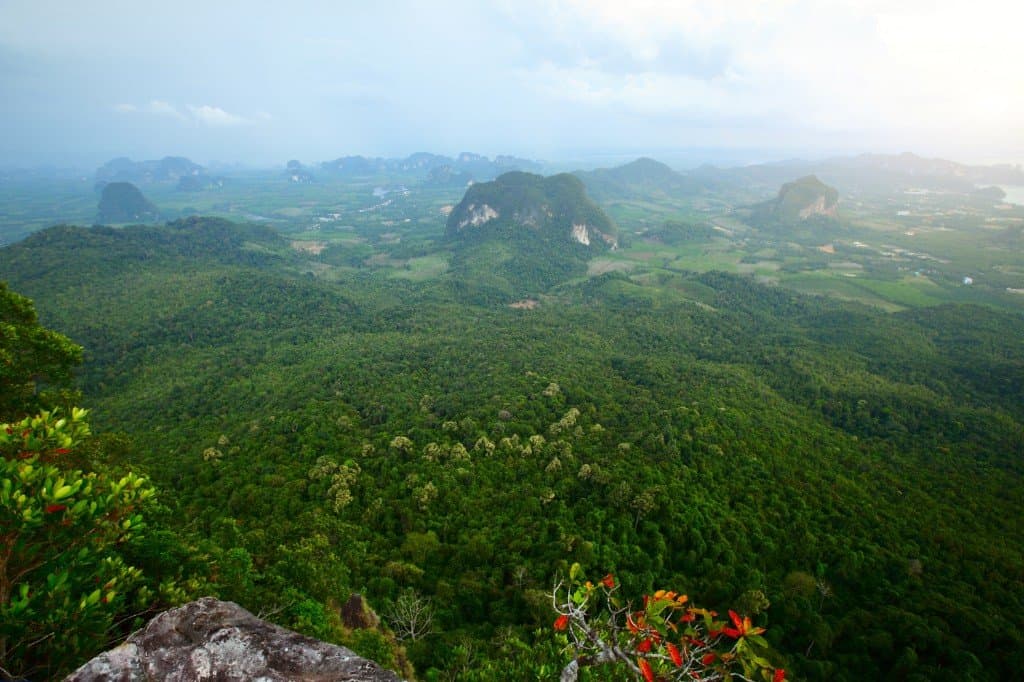 Panoramic forest and karst view from the Dragon Crest nature trail area near Tubkaek, Krabi